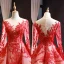 Luxury / Gorgeous Red Red Carpet Evening Dresses  2023 A-Line / Princess See-through Scoop Neck Long Sleeve Appliques Lace Beading Pearl Chapel Train Formal Dresses