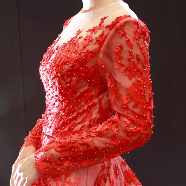 Luxury / Gorgeous Red Red Carpet Evening Dresses  2023 A-Line / Princess See-through Scoop Neck Long Sleeve Appliques Lace Beading Pearl Chapel Train Formal Dresses