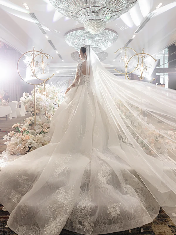 Illusion Blanche Transparentes La Mariée Robe De Mariée 2023 Robe Boule Encolure Carrée Manches Longues Dos Nu Appliques En Dentelle Perlage Chapel Train Volants