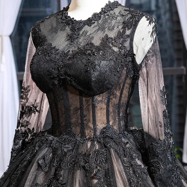 High-end Black See-through Red Carpet Evening Dresses  2023 A-Line / Princess Scoop Neck Long Sleeve Appliques Lace Cathedral Train Ruffle Formal Dresses