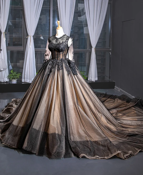 High-end Black See-through Red Carpet Evening Dresses  2023 A-Line / Princess Scoop Neck Long Sleeve Appliques Lace Cathedral Train Ruffle Formal Dresses