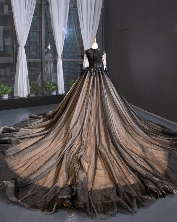 High-end Black See-through Red Carpet Evening Dresses  2023 A-Line / Princess Scoop Neck Long Sleeve Appliques Lace Cathedral Train Ruffle Formal Dresses