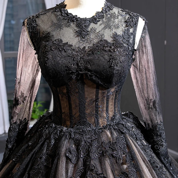 High-end Black See-through Red Carpet Evening Dresses  2023 A-Line / Princess Scoop Neck Long Sleeve Appliques Lace Cathedral Train Ruffle Formal Dresses