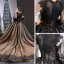 High-end Black See-through Red Carpet Evening Dresses  2023 A-Line / Princess Scoop Neck Long Sleeve Appliques Lace Cathedral Train Ruffle Formal Dresses