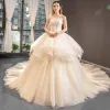 High-end Champagne Bridal Wedding Dresses 2023 Ball Gown Strapless Sleeveless Backless Appliques Lace Cathedral Train Ruffle