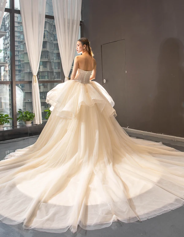 High-end Champagne Bridal Wedding Dresses 2023 Ball Gown Strapless Sleeveless Backless Appliques Lace Cathedral Train Ruffle