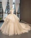 High-end Champagne Bridal Wedding Dresses 2023 Ball Gown Strapless Sleeveless Backless Appliques Lace Cathedral Train Ruffle