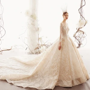 Glamour Champagne Transparentes Robe De Mariée 2019 Princesse Encolure Dégagée Manches Longues Fait Main Perlage Glitter Tulle Cathedral Train