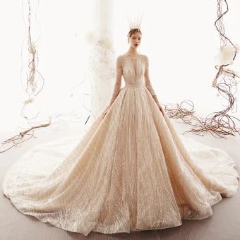 Scintillantes Champagne Transparentes Robe De Mariée 2019 Princesse Encolure Carrée 3 4 Manches Glitter Tulle Perlage Royal Train