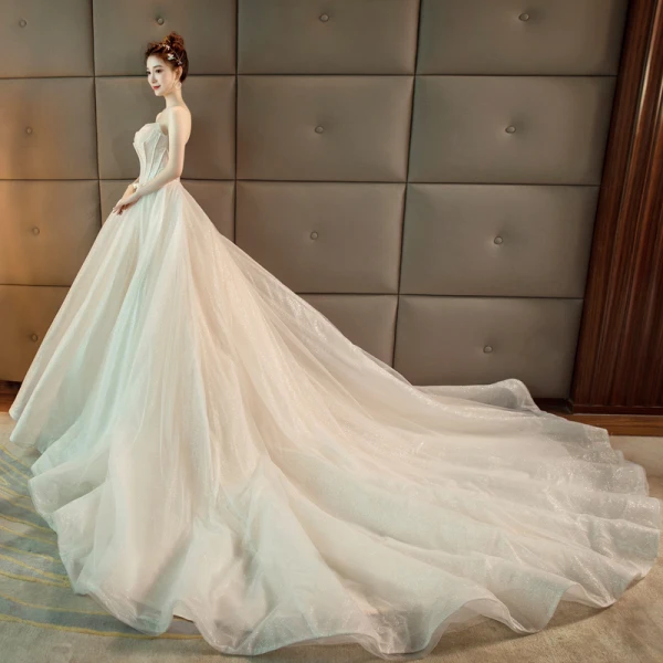 Bling Bling Champagne Brudekjoler 2019 Prinsesse Kjæreste Uten Ermer Ryggløse Sløyfe Sash Beading Glitter Polyester Cathedral Train Buste