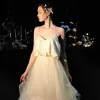 Classy Champagne Silk Beach Wedding Dresses 2019 Empire Spaghetti Straps Sleeveless Backless Sweep Train Ruffle