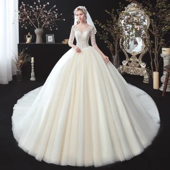 Chic Beautiful Champagne See Through Corset Wedding Dresses 2020 Ball Gown V Neck 1 2 Sleeves Backless Appliques Flower Beading Chapel Train
