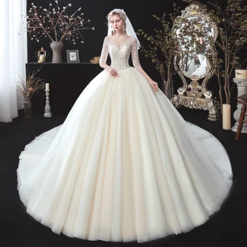 Chic Beautiful Champagne See Through Corset Wedding Dresses 2020 Ball Gown V Neck 1 2 Sleeves Backless Appliques Flower Beading Chapel Train