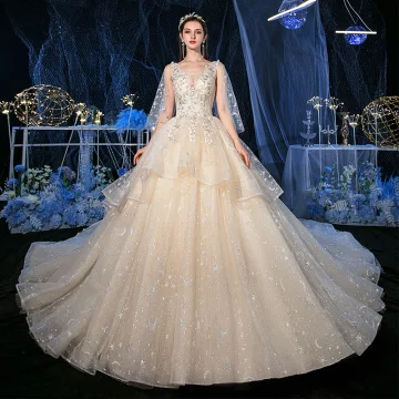 Romantic Champagne Glitter Star Tulle Wedding Dresses With Shawl 2020 Ball Gown See Through Deep V Neck Sleeveless Backless Appliques Lace Beading Cathedral Train Ruffle