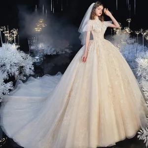 Audrey Hepburn Al Estilo Vintage Champán Transparentes Boda Vestidos De Novia 2020 Ball Gown Cuello Alto Manga Corta Apliques Flor Rebordear Chapel Train Ruffle