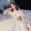 Audrey Hepburn Style Vintage / Retro Champagne See-through Bridal Wedding Dresses 2020 Ball Gown High Neck Short Sleeve Appliques Flower Beading Chapel Train Ruffle