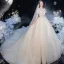 Luxe Champagne Bruids Trouwjurken 2020 Baljurk Uit De Schouder Korte Mouwen Ruglooze Glans Tule Kralen Cathedral Train Ruche