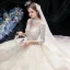Vintage / Retro Champagne See-through Wedding Dresses 2020 Ball Gown High Neck 3/4 Sleeve Backless Flower Appliques Lace Beading Pearl Cathedral Train