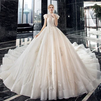 Vintage Champagne Doorzichtige Bruids Trouwjurken 2020 Baljurk Hoge Kraag Mouwloos Ruglooze Kralen Appliques Kant Pailletten Cathedral Train Ruche