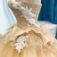 High-end Champagne Dancing Ballkjoler 2023 Ballkjole Kjæreste Uten Ermer Appliques Blonder Beading Lange Buste Ryggløse Formelle Kjoler