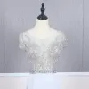 High-end Silver See-through Evening Dresses  2020 Trumpet / Mermaid Scoop Neck Short Sleeve Beading Sweep Train Ruffle Formal Dresses