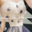Elegant Champagne Purple Ballkjoler 2020 Prinsesse Kjæreste Uten Ermer Appliques Blomst Beading Glitter Tyll Lange Buste Ryggløse Formelle Kjoler