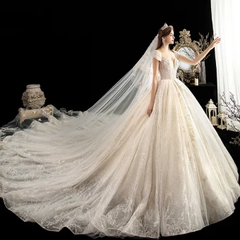 Luxury Gorgeous Champagne See Through Wedding Dresses 2020 Ball Gown Scoop Neck Short Sleeve Backless Beading Glitter Tulle Appliques Lace Cathedral Train Ruffle