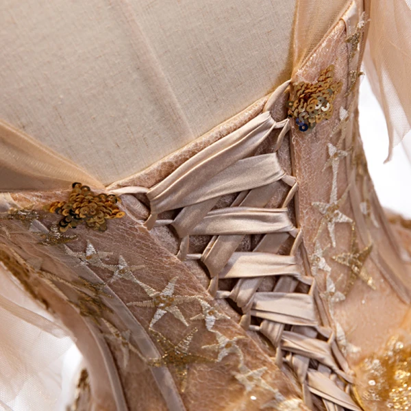Chic / Beautiful Champagne Gold Evening Dresses  2020 A-Line / Princess See-through Scoop Neck Short Sleeve Bell sleeves Star Appliques Lace Sequins Glitter Tulle