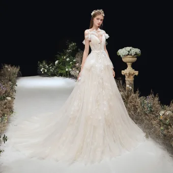 Chic Beautiful Champagne Bridal Wedding Dresses 2020 A Line Princess See Through Deep V Neck Bow Shoulders Sleeveless Backless Appliques Lace Court Train Ruffle