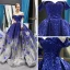Scintillantes Bleu Roi Dégradé De Couleur Argenté Paillettes Tapis rouge Robe De Soirée 2023 Princesse De l'épaule Manches Courtes Appliques Fleur Perlage Plumes Chapel Train