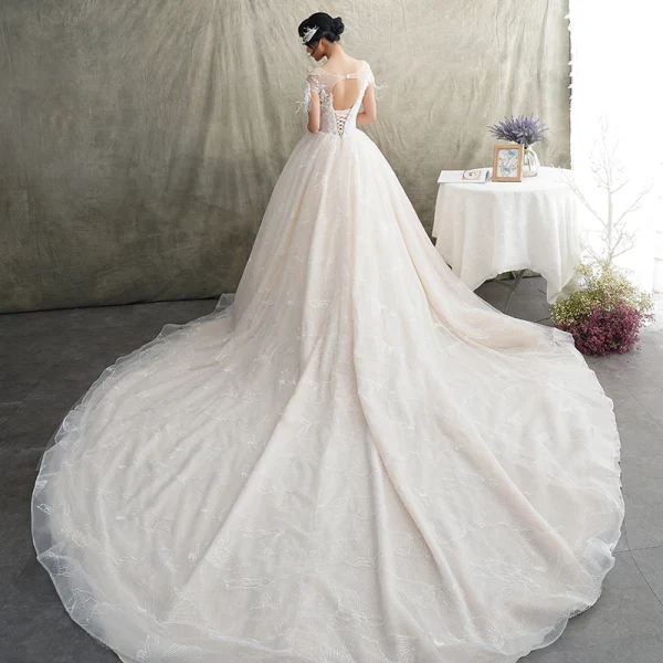 Luxus / Herrlich Champagner Durchsichtige Brautkleider / Hochzeitskleider 2019 A Linie Rundhalsausschnitt Kurze Ärmel Rückenfreies Feder Applikationen Spitze Glanz Tülle Perlenstickerei Quaste Kathedrale Schleppe Rüschen