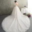 Luxus / Herrlich Champagner Durchsichtige Brautkleider / Hochzeitskleider 2019 A Linie Rundhalsausschnitt Kurze Ärmel Rückenfreies Feder Applikationen Spitze Glanz Tülle Perlenstickerei Quaste Kathedrale Schleppe Rüschen
