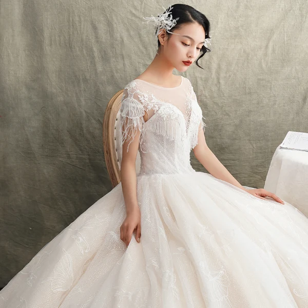 Luxus / Herrlich Champagner Durchsichtige Brautkleider / Hochzeitskleider 2019 A Linie Rundhalsausschnitt Kurze Ärmel Rückenfreies Feder Applikationen Spitze Glanz Tülle Perlenstickerei Quaste Kathedrale Schleppe Rüschen