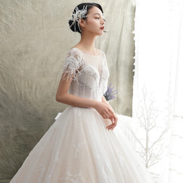 Luxus / Herrlich Champagner Durchsichtige Brautkleider / Hochzeitskleider 2019 A Linie Rundhalsausschnitt Kurze Ärmel Rückenfreies Feder Applikationen Spitze Glanz Tülle Perlenstickerei Quaste Kathedrale Schleppe Rüschen