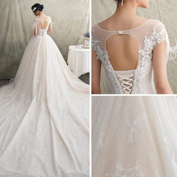Luxus / Herrlich Champagner Durchsichtige Brautkleider / Hochzeitskleider 2019 A Linie Rundhalsausschnitt Kurze Ärmel Rückenfreies Feder Applikationen Spitze Glanz Tülle Perlenstickerei Quaste Kathedrale Schleppe Rüschen