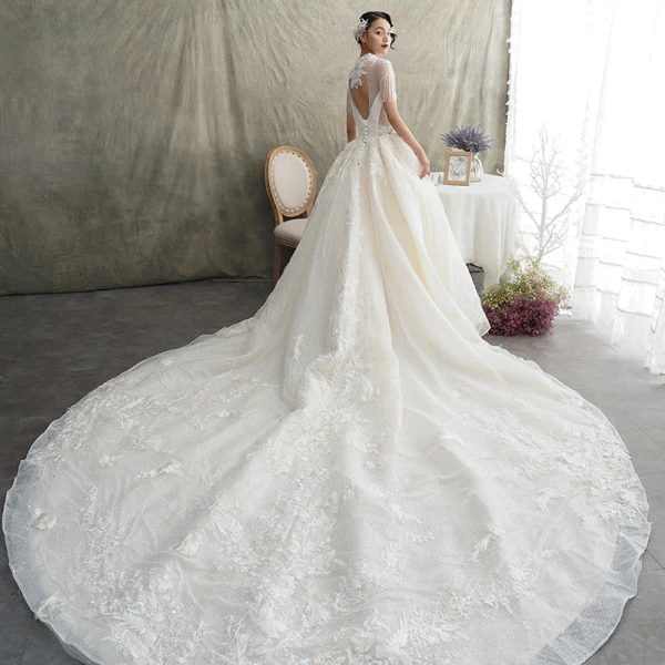 Luxe Champagne Transparentes Robe De Mariée 2019 Princesse Col Haut Manches Courtes Dos Nu Appliques En Dentelle Perlage Gland Glitter Tulle Cathedral Train Volants