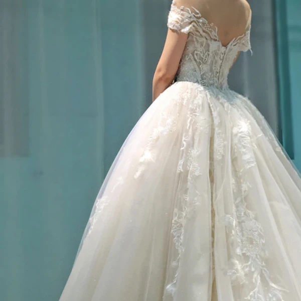 Edles Champagner Durchsichtige Brautkleider / Hochzeitskleider 2019 A Linie Rundhalsausschnitt Kurze Ärmel Rückenfreies Applikationen Spitze Perlenstickerei Kathedrale Schleppe