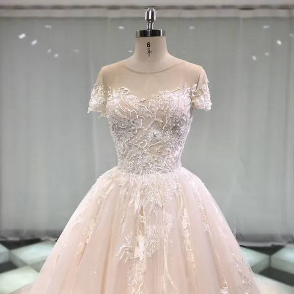 Edles Champagner Durchsichtige Brautkleider / Hochzeitskleider 2019 A Linie Rundhalsausschnitt Kurze Ärmel Rückenfreies Applikationen Spitze Perlenstickerei Kathedrale Schleppe