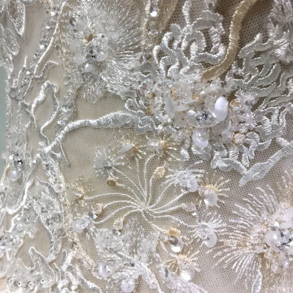 Edles Champagner Durchsichtige Brautkleider / Hochzeitskleider 2019 A Linie Rundhalsausschnitt Kurze Ärmel Rückenfreies Applikationen Spitze Perlenstickerei Kathedrale Schleppe
