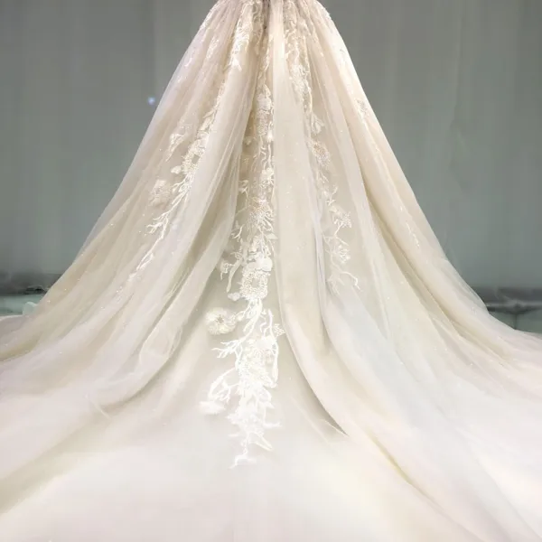Edles Champagner Durchsichtige Brautkleider / Hochzeitskleider 2019 A Linie Rundhalsausschnitt Kurze Ärmel Rückenfreies Applikationen Spitze Perlenstickerei Kathedrale Schleppe
