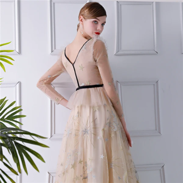 Sexy Beige See-through Evening Dresses 2019 A-Line / Princess V-Neck Long Sleeve Embroidered Floor-Length / Long Ruffle Backless Formal Dresses