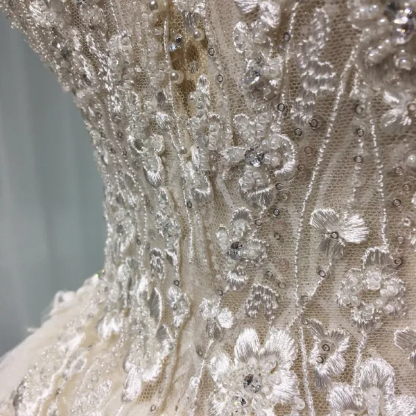 Élégant Champagne Transparentes Robe De Mariée 2019 Princesse Encolure Dégagée Sans Manches Dos Nu Appliques En Dentelle Perle Perlage Glitter Tulle Cathedral Train Volants