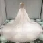 Meilleur Champagne Transparentes Robe De Mariée 2019 Princesse Encolure Dégagée Percé Manches Longues Dos Nu Appliques En Dentelle Perle Cathedral Train Volants