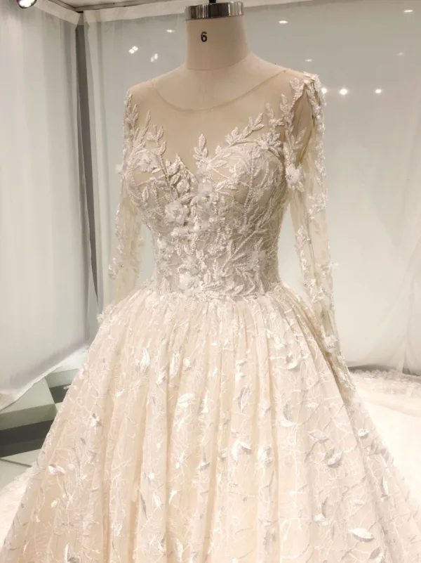 Meilleur Champagne Transparentes Robe De Mariée 2019 Princesse Encolure Dégagée Percé Manches Longues Dos Nu Appliques En Dentelle Perle Cathedral Train Volants