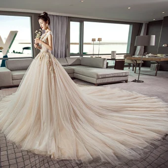 Classy Champagne Wedding Dresses 2019 A Line Princess V Neck Sleeveless Backless Appliques Lace Glitter Tulle Cathedral Train Ruffle