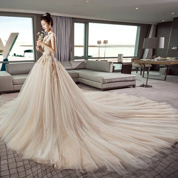 Stilig Champagne Brudekjoler 2019 Prinsesse V Hals Uten Ermer Ryggløse Appliques Blonder Glitter Tyll Cathedral Train Buste