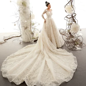 Best Champagne See Through Wedding Dresses 2019 A Line Princess Scoop Neck Long Sleeve Backless Appliques Lace Beading Cathedral Train Ruffle