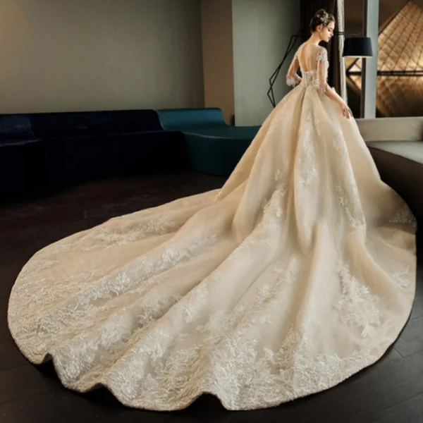Luxe Champagne Transparentes Robe De Mariée 2019 Robe Boule Encolure Dégagée 1/2 Manches Dos Nu Appliques En Dentelle Perlage Gland Perle Cathedral Train