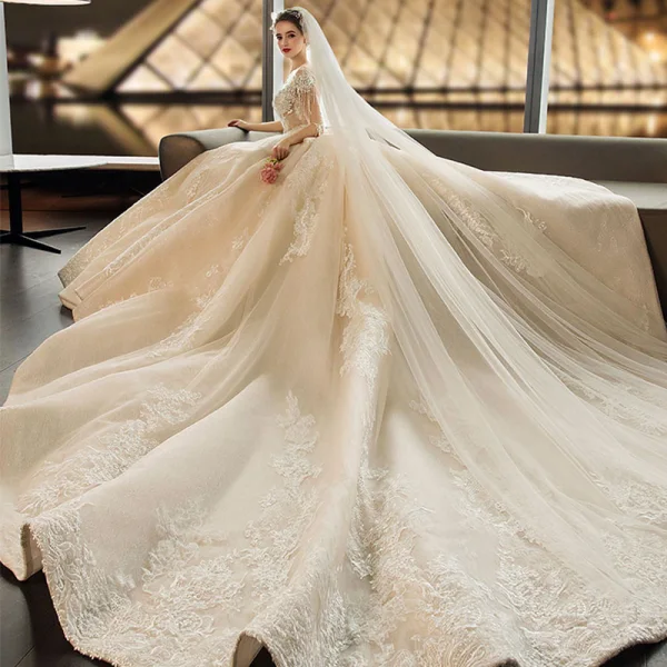 Luxe Champagne Transparentes Robe De Mariée 2019 Robe Boule Encolure Dégagée 1/2 Manches Dos Nu Appliques En Dentelle Perlage Gland Perle Cathedral Train