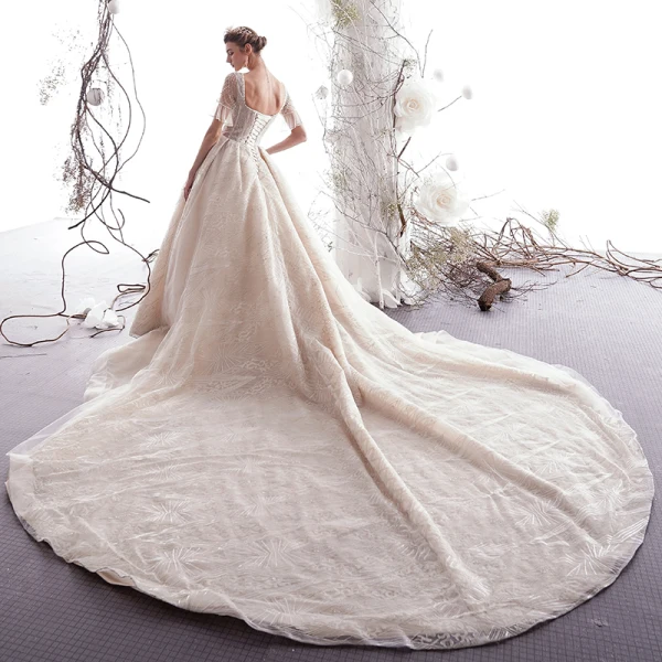 Chic Champagne Transparentes Robe De Mariée 2019 Princesse Encolure Carrée Manches de cloche Dos Nu Perlage Appliques En Dentelle Glitter Tulle Cathedral Train Volants